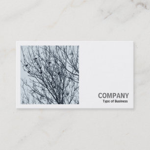 Carte De Visite Photo carré (v2) - Étoiles dans un arbre