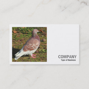 Carte De Visite Photo carré (v2) - Pigeon