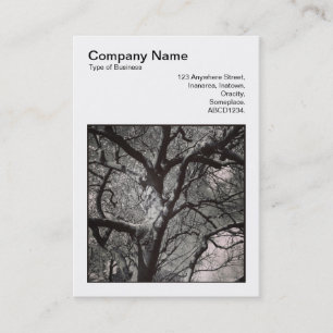 Carte De Visite Photo carré (v3) - Branches de l'arbre Magnolia