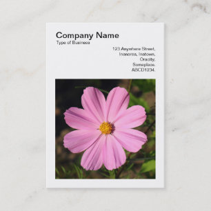 Carte De Visite Photo carré (v3) - Cosmos rose