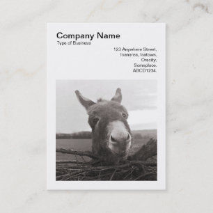 Carte De Visite Photo carré (v3) - Donkey amical