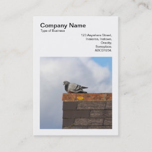 Carte De Visite Photo carré (v3) - Good Morning Pigeon