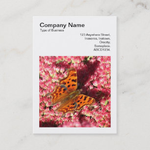 Carte De Visite Photo carré (v3) - Papillon Comma sur Sedum