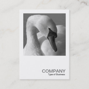 Carte De Visite Photo Carrée 0350 - Cygne N&B