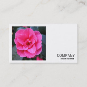 Carte De Visite Photo carrée (v2) - Camélia rose