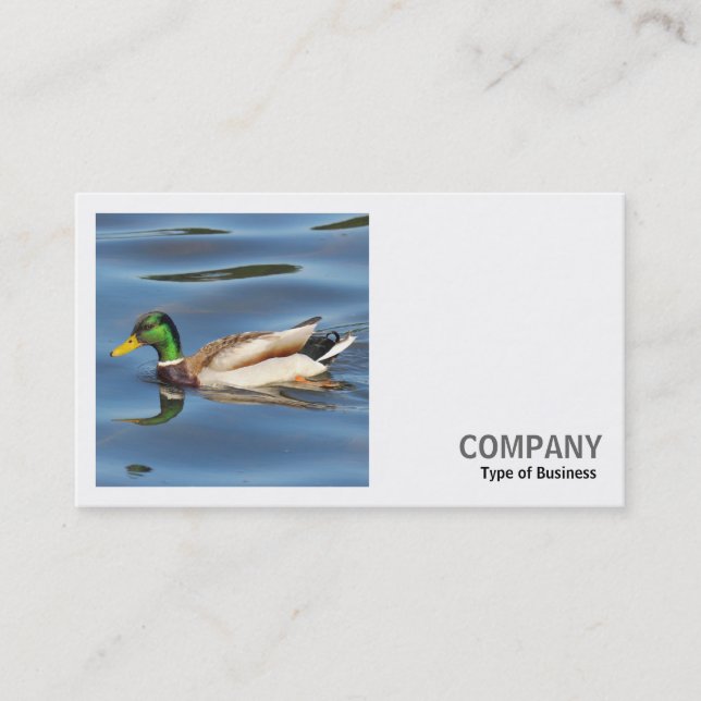 Carte De Visite Photo carrée (v2) - Canard colvert (Devant)