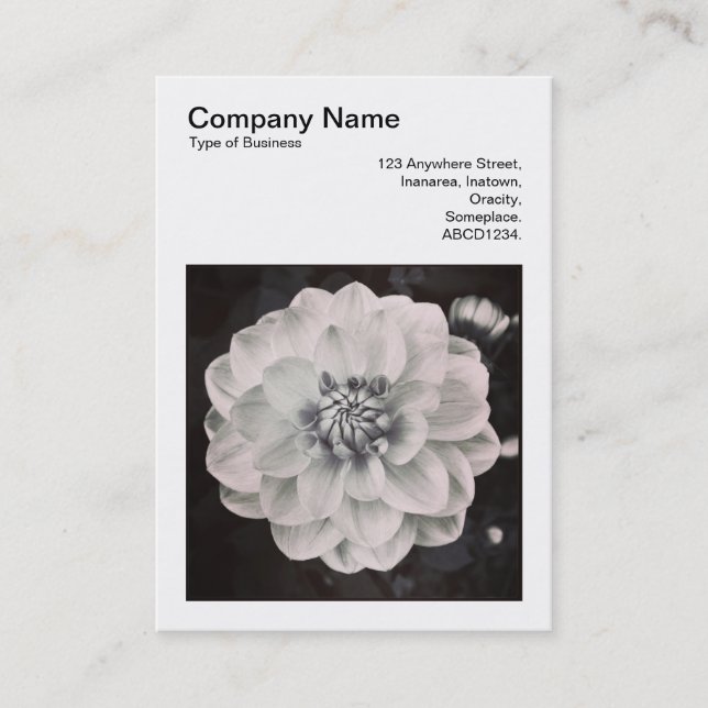Carte De Visite Photo carrée (v3) - chrysanthème (Devant)