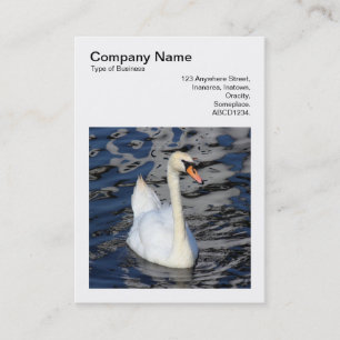Carte De Visite Photo carrée (v3) - Cygne
