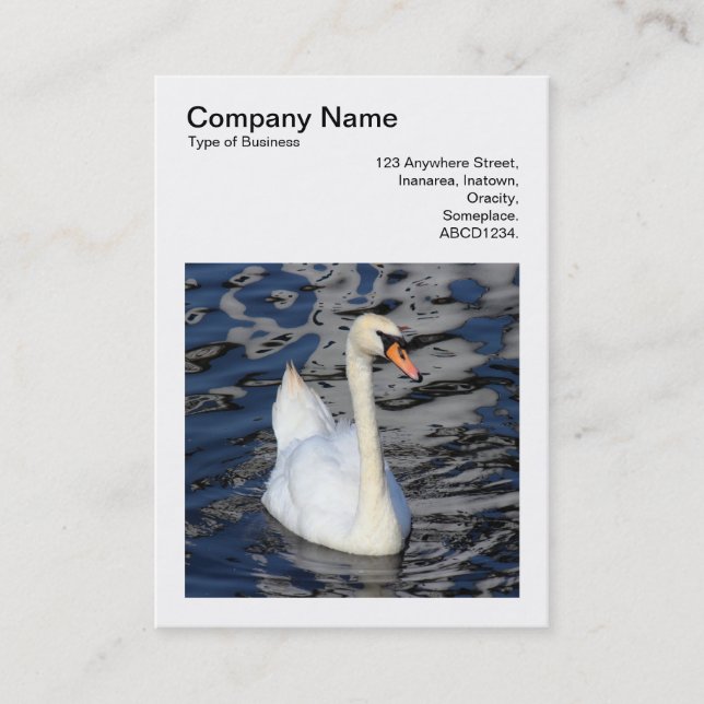 Carte De Visite Photo carrée (v3) - Cygne (Devant)