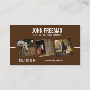 Carte De Visite Photo Cheval Brown moderne équestre