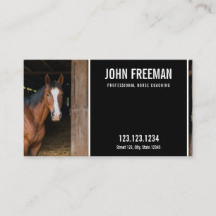 Carte De Visite Photo Cheval Moderne Coaching Equine