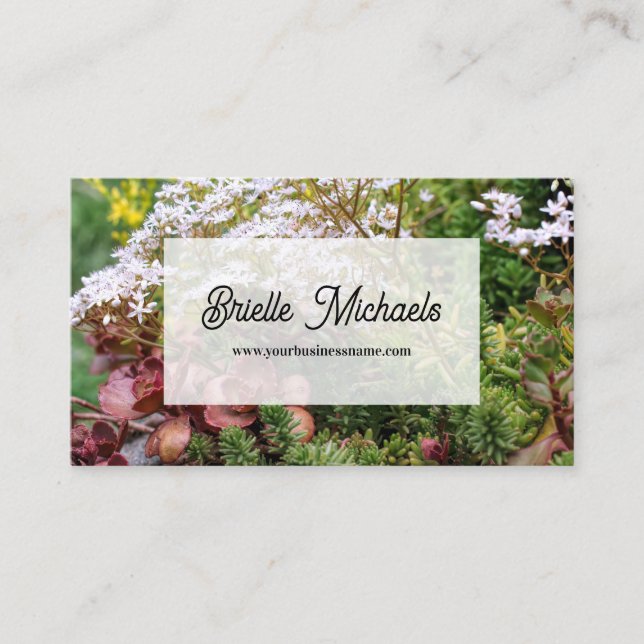 Carte De Visite Photo de jardin succulent (Devant)