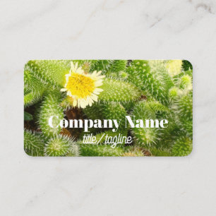 Carte De Visite photo de nature de fleur de cactus recto verso