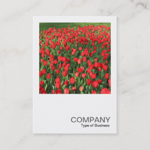 Carte De Visite Photo du carré 0511 - Lit des Tulipes Rouges 02
