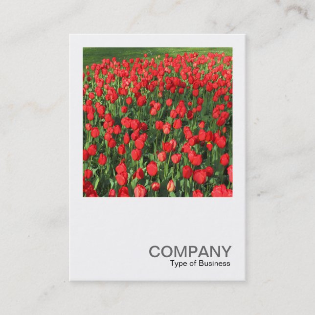Carte De Visite Photo du carré 0511 - Lit des Tulipes Rouges 02 (Devant)