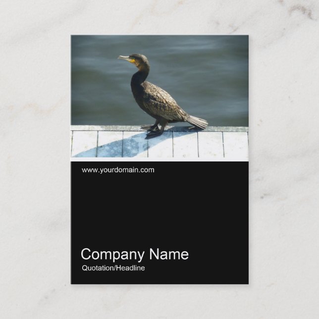 Carte De Visite Photo Half&Half 0178 - Cormoran (Devant)