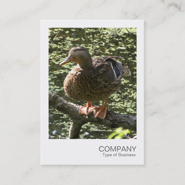 Carte De Visite Photo instantanée 010 - Happy Duck (Devant)