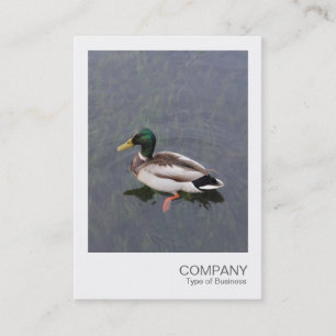 Carte De Visite Photo instantanée 012 - Mallard Duck