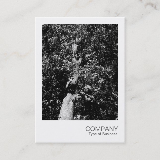 Carte De Visite Photo instantanée 025 - Arbre à plan (Devant)