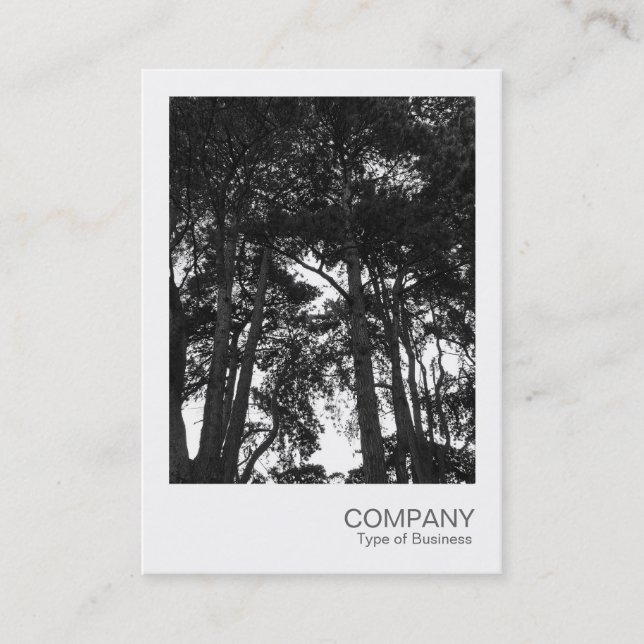 Carte De Visite Photo instantanée 032 - Arbre (Devant)