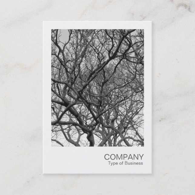 Carte De Visite Photo instantanée 037 - Branches Magnolia (Devant)
