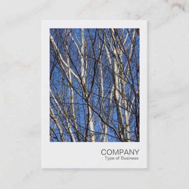 Carte De Visite Photo instantanée 05 - Branches de bouleau (Devant)