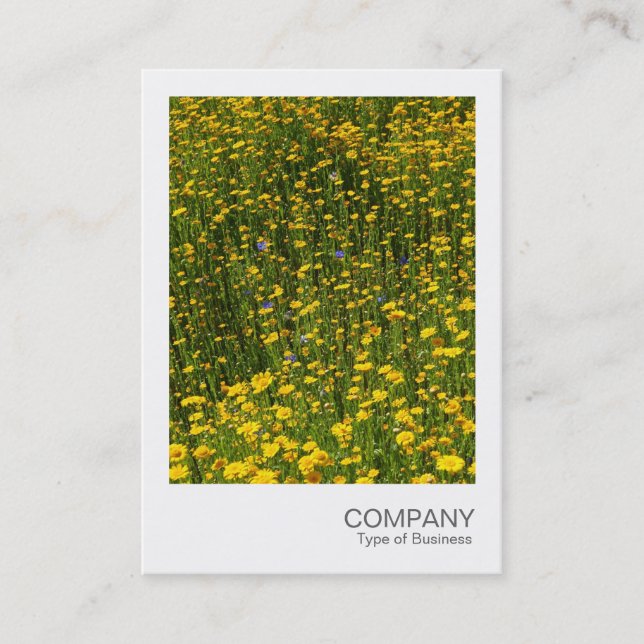 Carte De Visite Photo instantanée 078 - Lit de marguerites jaunes (Devant)