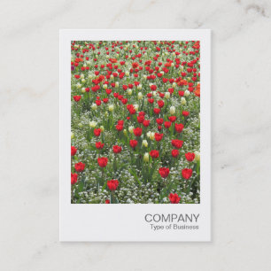Carte De Visite Photo instantanée 085 - Lit de tulipes