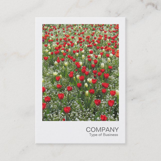Carte De Visite Photo instantanée 085 - Lit de tulipes (Devant)