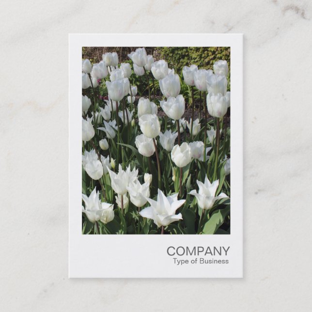 Carte De Visite Photo instantanée 090 - Tulipes blanches (Devant)