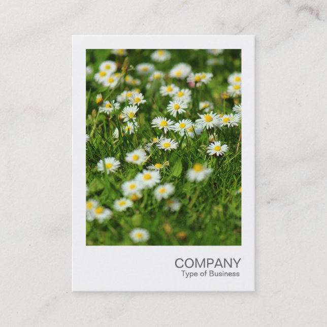 Carte De Visite Photo instantanée 091 - Daisy Meadow (Devant)