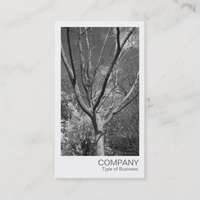 Carte De Visite Photo instantanée - Arbre dans le soleil (Devant)