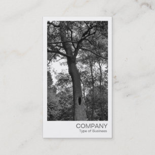 Carte De Visite Photo instantanée - Arbre mystérieux