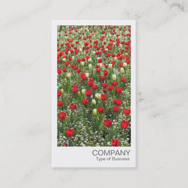 Carte De Visite Photo instantanée - Bed of Tulips (Devant)