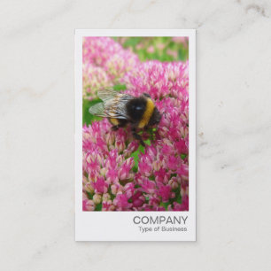 Carte De Visite Photo instantanée - Bumble Bee sur Sedum