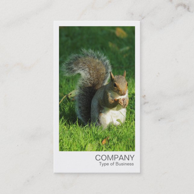 Carte De Visite Photo instantanée - Écureuil gris mange des noix (Devant)
