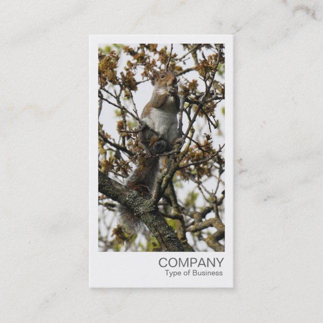 Carte De Visite Photo instantanée - L'écureuil dans un arbre (Devant)
