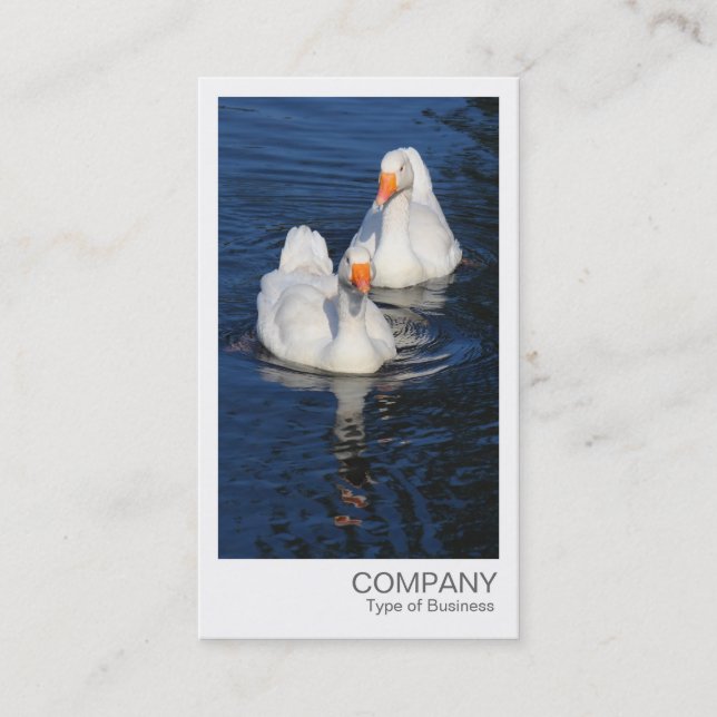 Carte De Visite Photo instantanée - Oies d'Emden (Devant)