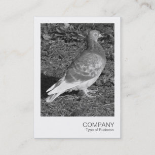 Carte De Visite Photo instantanée - Pigeon BW