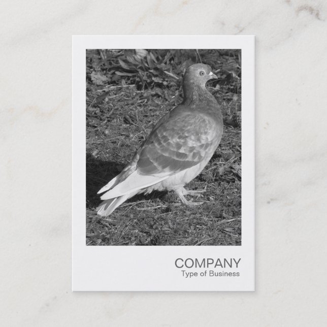 Carte De Visite Photo instantanée - Pigeon BW (Devant)