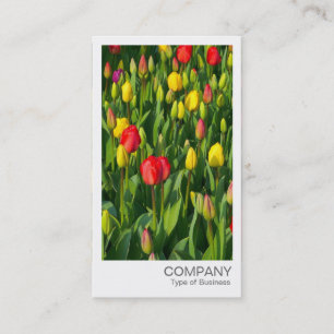 Carte De Visite Photo instantanée - Tulipes colorées