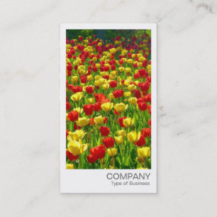 Carte De Visite Photo instantanée - Tulipes rouges et jaunes