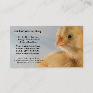 Cartes De Visite Poussins Bebe Zazzle Fr