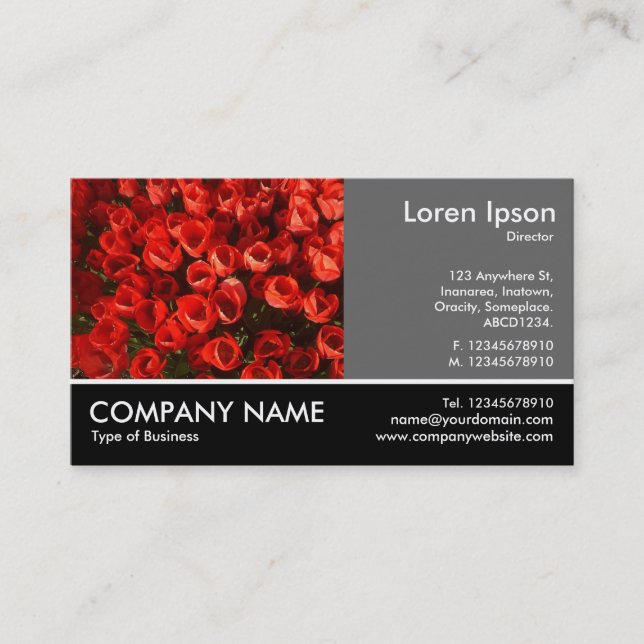 Carte De Visite Photo Pied - 60pc Grey - Tulips (Devant)