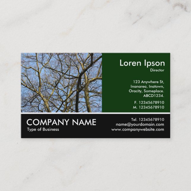 Carte De Visite Photo Pied - Branches (Devant)