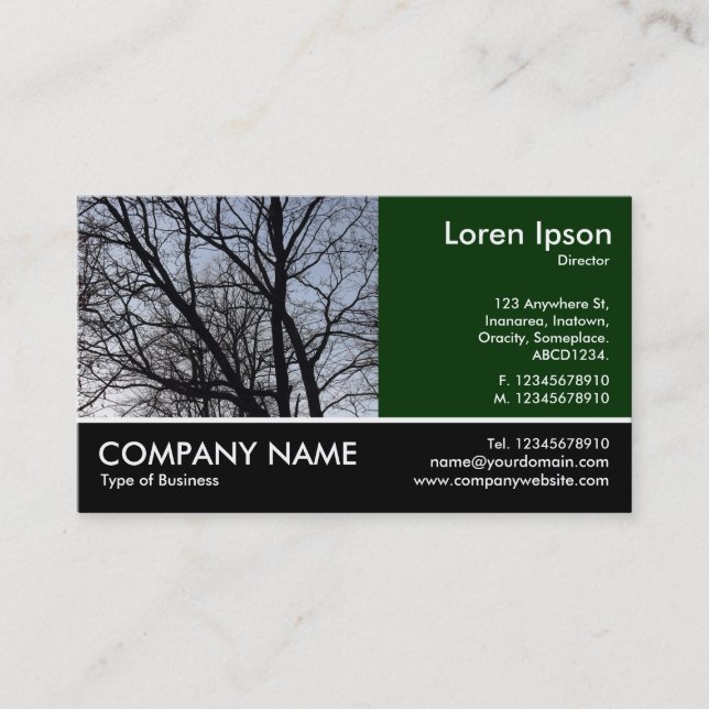 Carte De Visite Photo Pied - Branches Silhouettées (Devant)