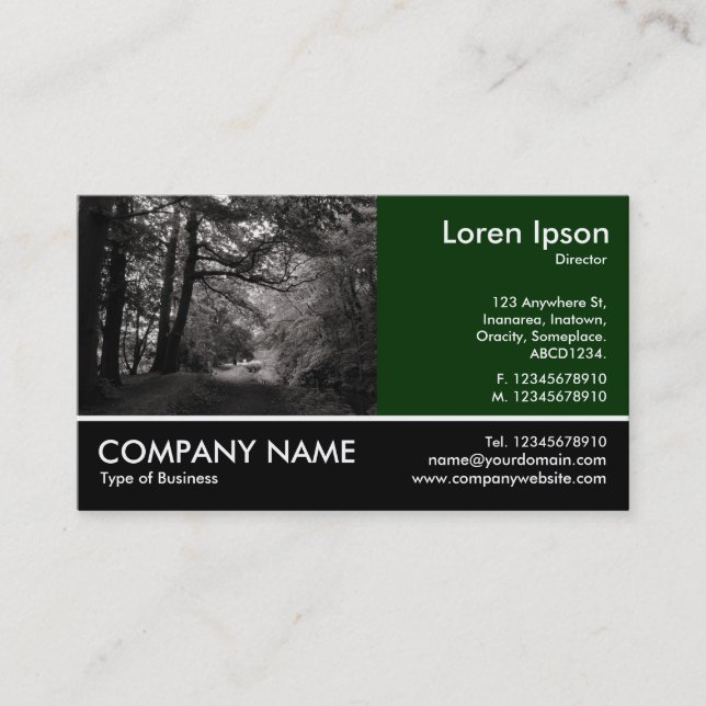 Carte De Visite Photo Pied - Canal, Bute Park Cardiff (Devant)