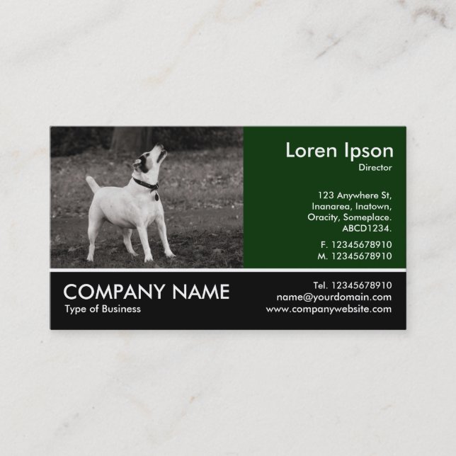 Carte De Visite Photo Pied - Chien Agog (Devant)
