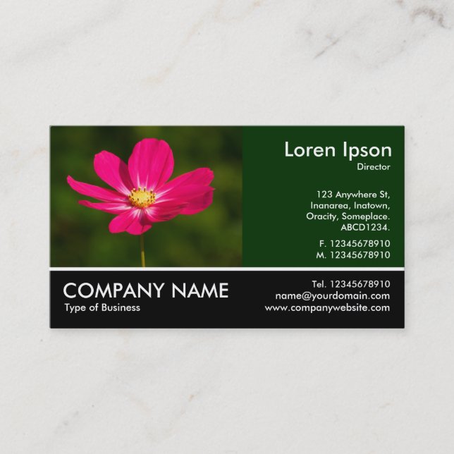 Carte De Visite Photo Pied - Cosmos Rose (Devant)