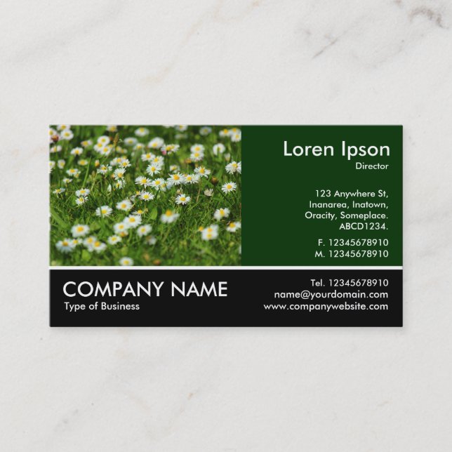 Carte De Visite Photo Pied - Daisy Meadow (Devant)